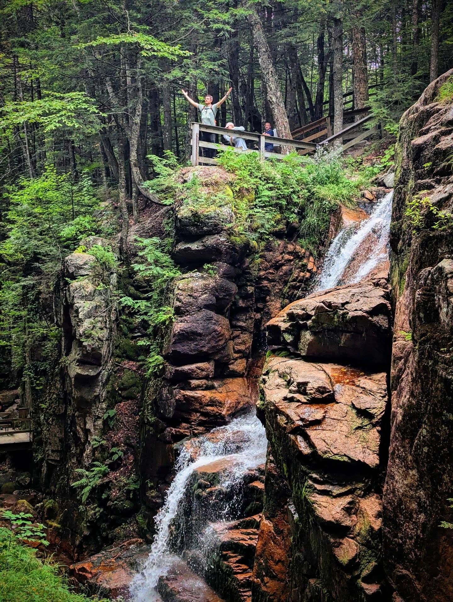 The top of Avalanche Falls does have a bit of a Pride Rock vibe. π¦