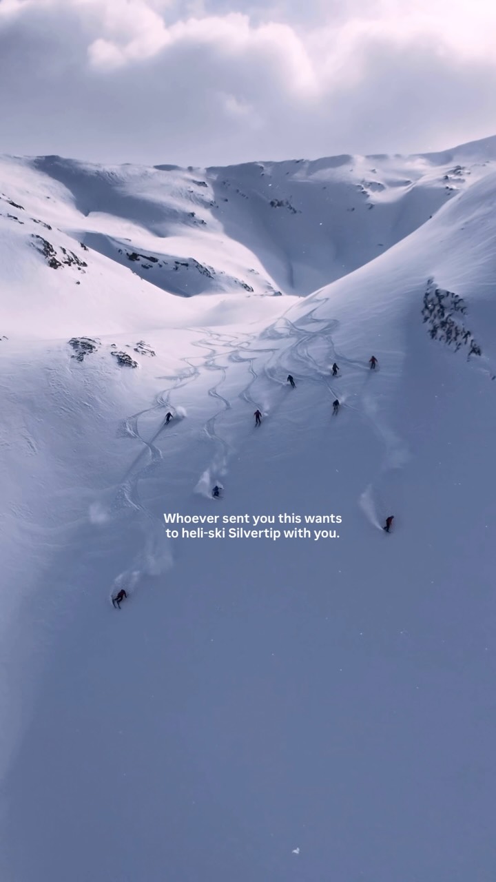 Silvertip Heliskiing